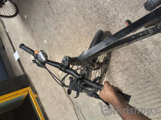 Phoenix cycle photo 4