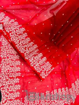 sari photo 1