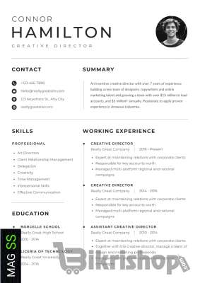 CV / Ats Professional (Ready)