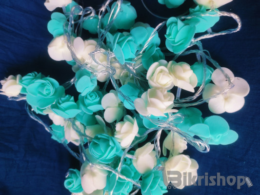 Rose Fairy light photo 1
