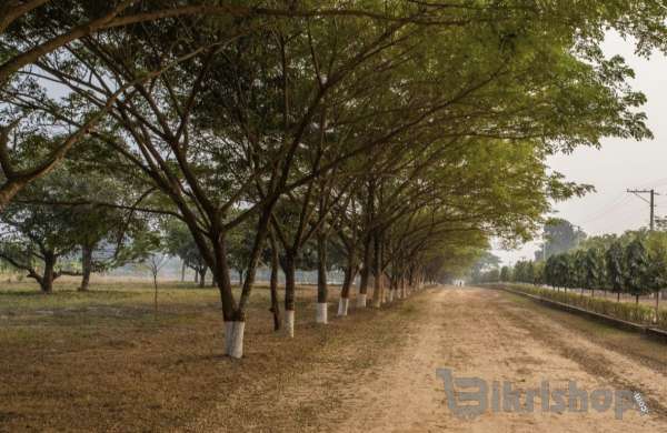 রাজউক গভমেন্ট প্রজেক্ট এর পাশে নাভানা ল্যান্ড প্রজেক্ট। photo 3