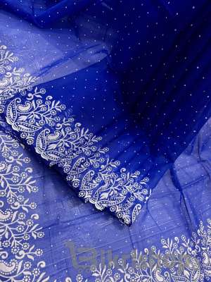 sari photo 3