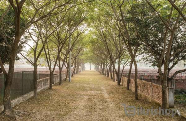 Reliable plot for sale purbachal NAVANA HIGHLAND LAND PROJECT photo 3
