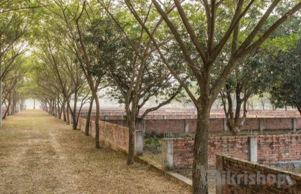 RESIDENTIAL LAND PROJECT NAVANA HIGHLAND PURBACHAL photo 2