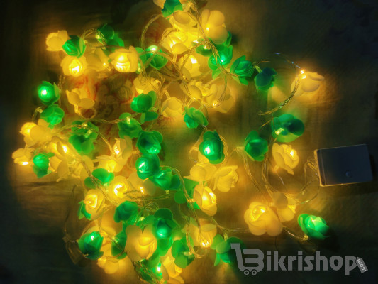 Rose Fairy light photo 2
