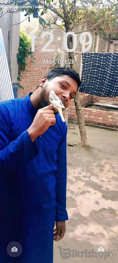 শখের পাখি বিক্রি করা হবে photo 4